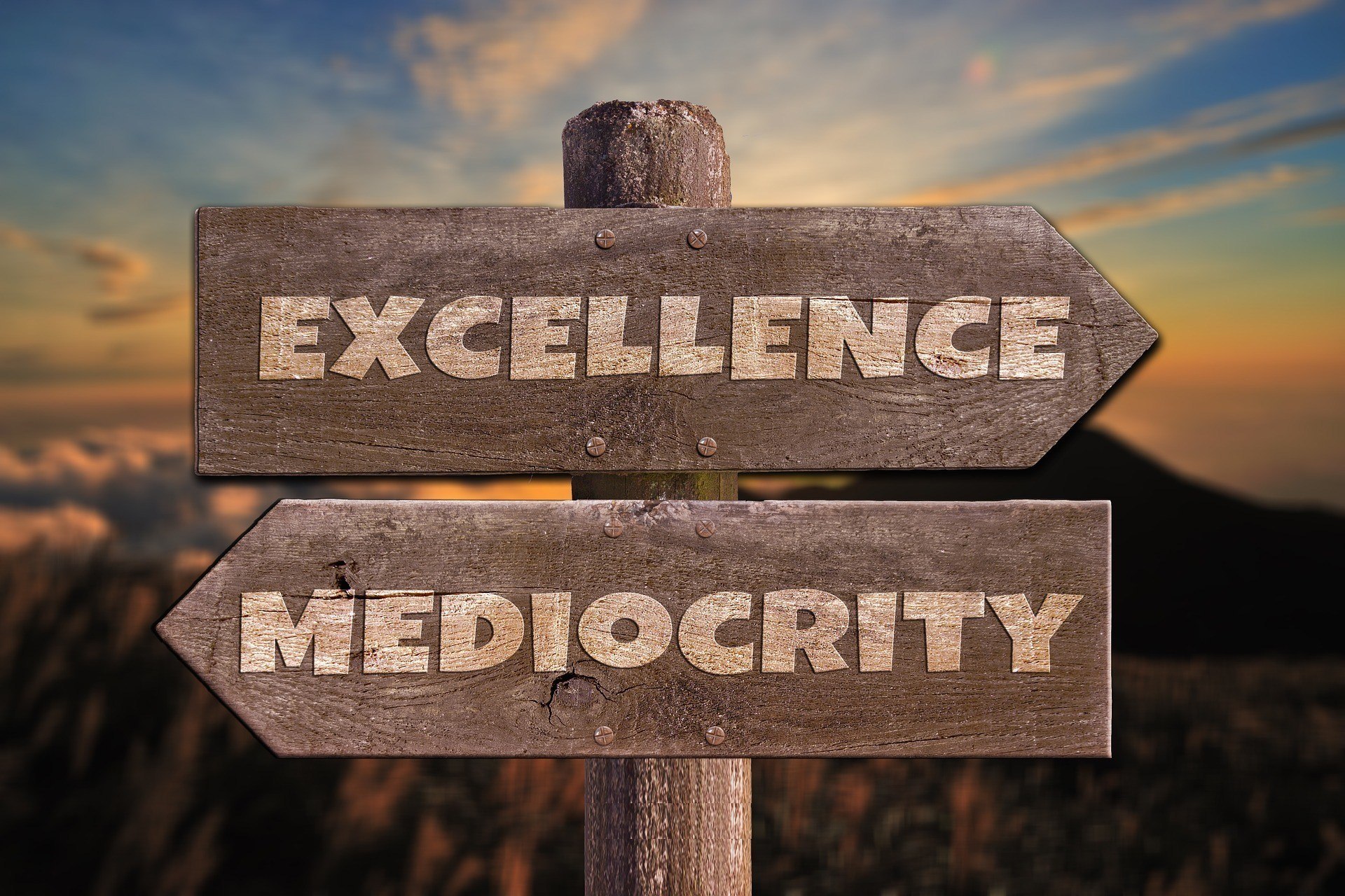 Image for  "Do Not Settle for the Mediocre – Excellence is within You!"
